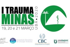 uba-minas-gerais-encontro-trauma-mural-de-eventos-2020