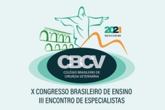X Congresso Brasileiro de Ensino - CBCV